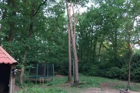 Boshuisje Veluwe בית נופש אמסט